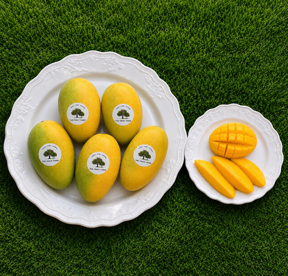Dusseri Export Quality